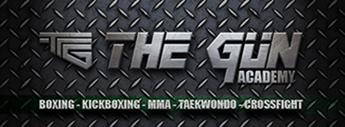 the gun academy logo 2